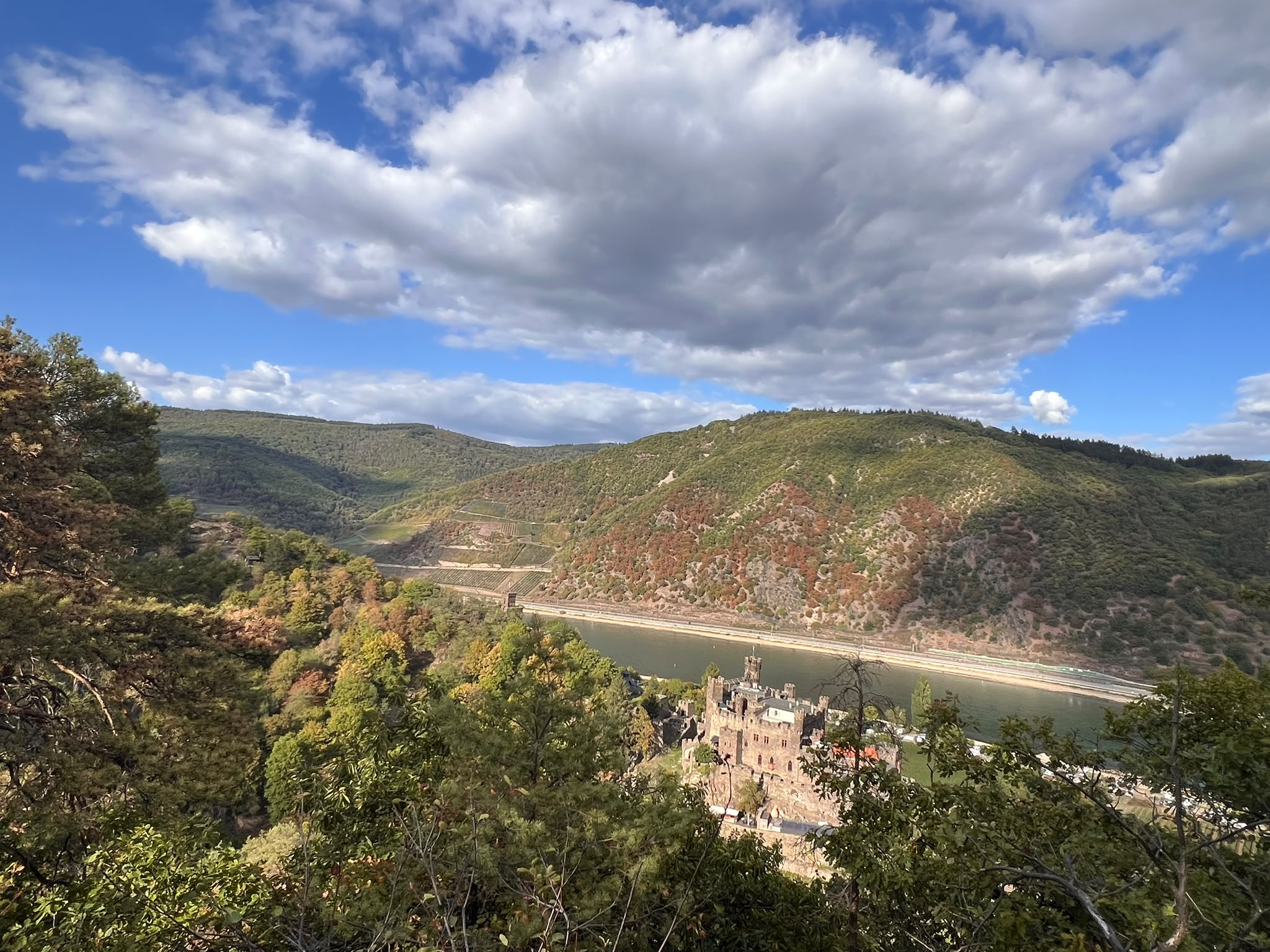 Hike the Bingen Forest