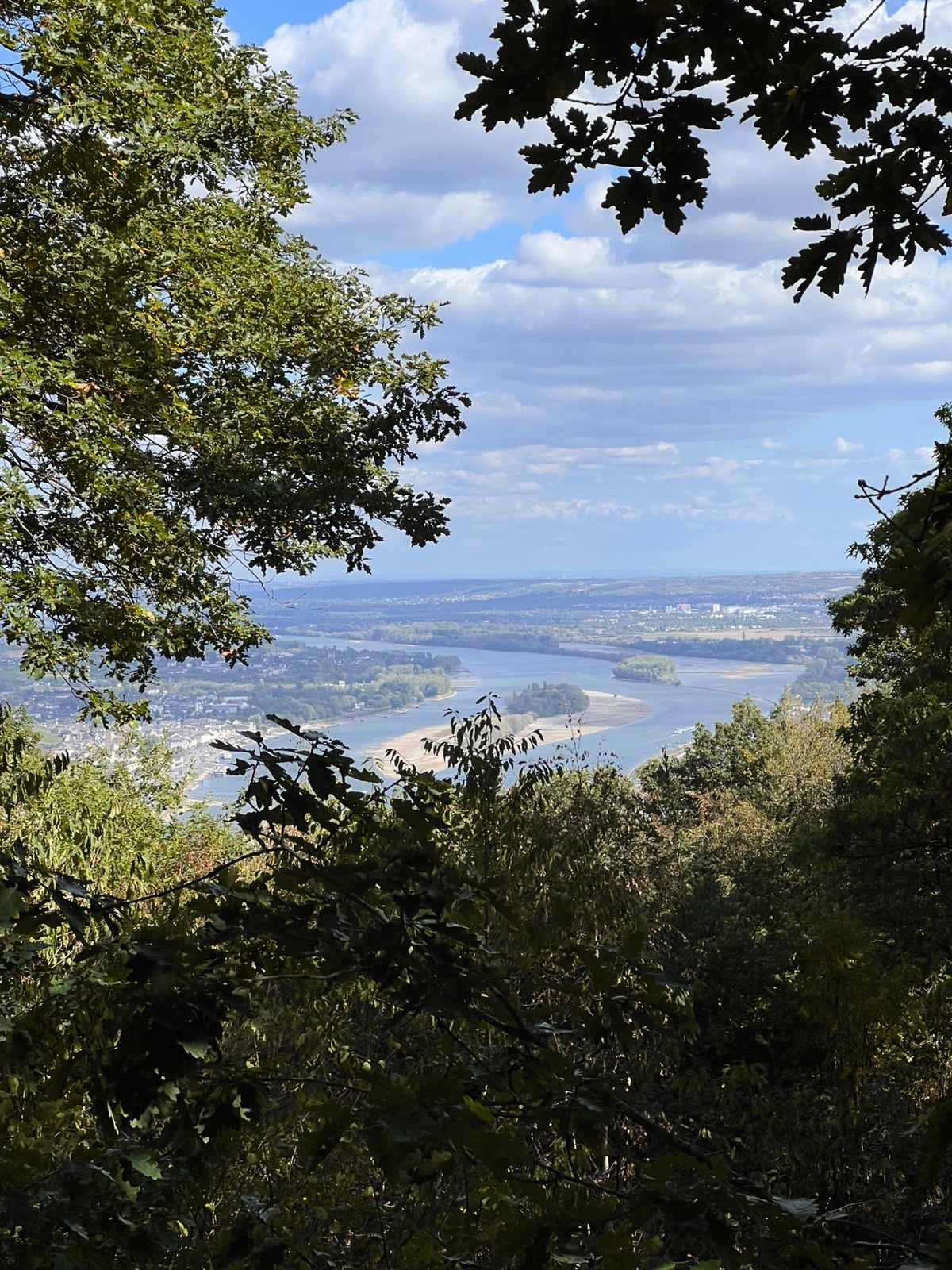 Hike the Bingen Forest
